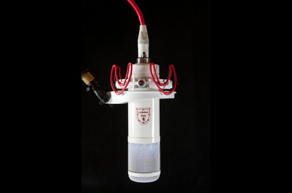 The Regensburg Dom Vintage Tube Microphone  The Regensburg Dom Vintage Tube Microphone